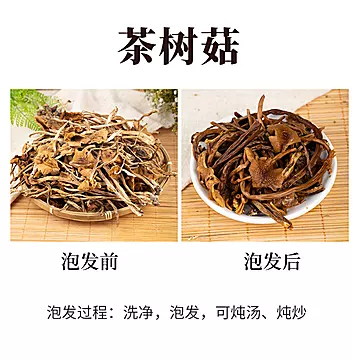 【250g】雪中王福建茶树菇干货[10元优惠券]-寻折猪