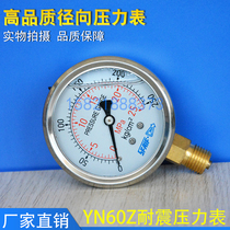 Seismic and Seismic Pressure Gauge Hydraulic Pressure Gauge Hydraulic Pressure Gauge YN60-10 16 25 40 60MPA
