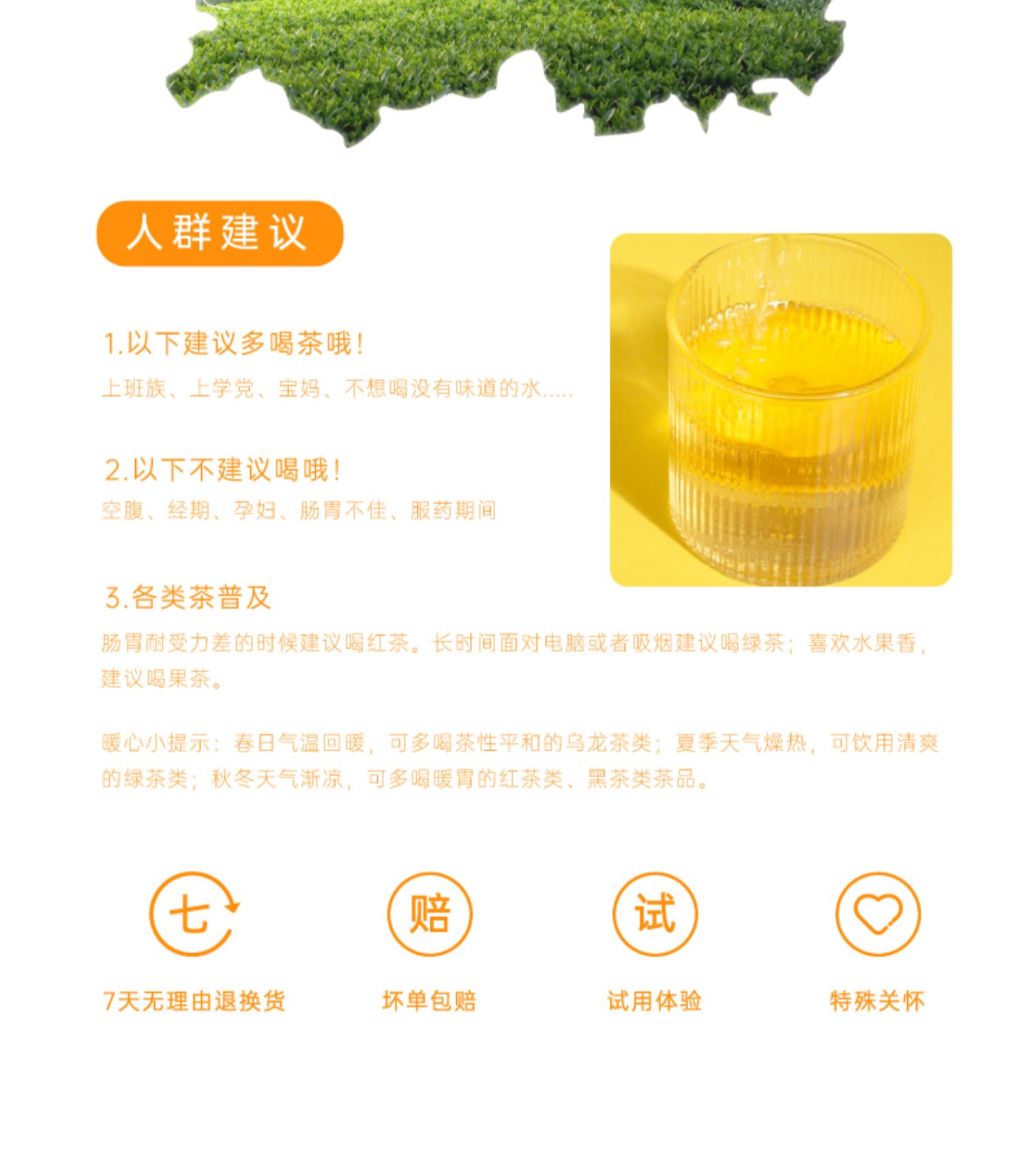 签到稳定桂花乌龙茶铁观音浓香型