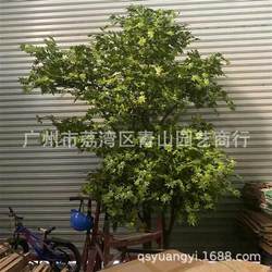 Simulated Green Ginkgo Tree Simulated Plant Green Maple Tree Wishing Tree Artificial Plant Little Mystery Your Beauty Maple Tree