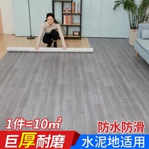 Carpet Special Processing Clear Bedroom Living Room Household Material Waterproof Mat Mat