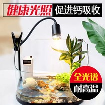 Turtle Sun Back Light Heating Lamp Promotes Calcium Absorption Sun Light Turtle Light Uvb Light Turtle Cylinder Uva Full Spectrum Insulation