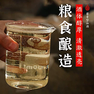 贵州酱香型53度白酒试饮装[1元优惠券]-寻折猪