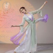 Classical Dance Classical Ancient Archives Dressing Dresses National Dance Female Summer Training Costume