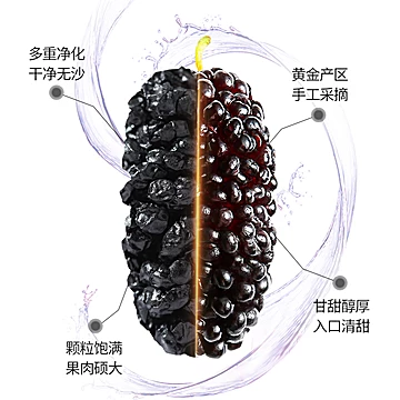 【新疆特级】原产无沙黑桑葚干230g[13元优惠券]-寻折猪