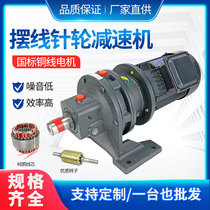 Planetary cycloid reducer vertical small horizontal pendulum reducer with national standard copper core motor