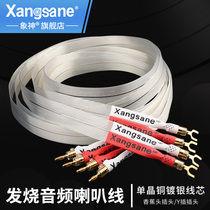 XANGSANE elephant God fever sound horn wire single crystal copper silver plated power amplifier speaker bile machine audio cable