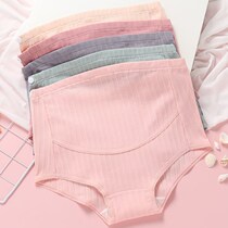 Pregnant Woman Briefs Female Pure Cotton Gestational Mid Pregnancy Mid Summer Slim breathable High waist Tow belly Large size 200 catty shorts