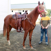 Equestrian Riding Western Saddle Quality Bull Leather full set Saddle Series Carved large pile Safety Horse Saddle Vastness Horse