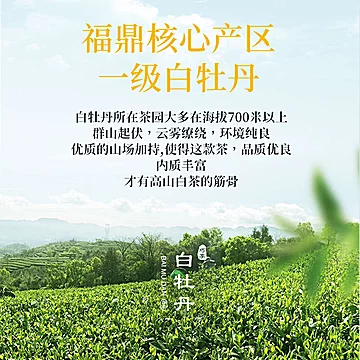 天福天心茗茶试饮茶叶[3元优惠券]-寻折猪