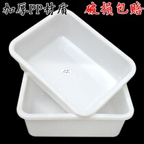 Plastic Square Basin Thickened Kitchen Wash Basin Clean White Frozen Basin Thaw Mop Oblong Turtle Basin Cool Dish