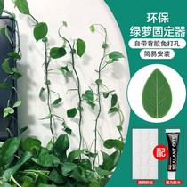 Green Planting Finishing Clips Green Roe Climbing Wall God Ware No mark Home hooks Hook Climbing Wall-mounted Climbing Vine