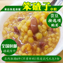 Northeast Sticky Corn Large Ballast New Grain Bract Porridge Crummy Old Bulky Traditional Grain material stubble with coarse grain slime