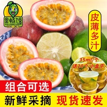 Thyme lemon small green tangerine fresh now off gold combined pregnant woman package orange fruit tea homemade drink DIy