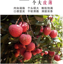 Lychee fresh on the day to be shipped 10 kilos of Guido Smiley Black Leaves 5 Off The Season Fruit Origin Big Whole Box