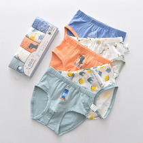 Cha-cha worm 5 childrens underwear combed cotton boy underwear cartoon toddler briefs baby soft and breathable