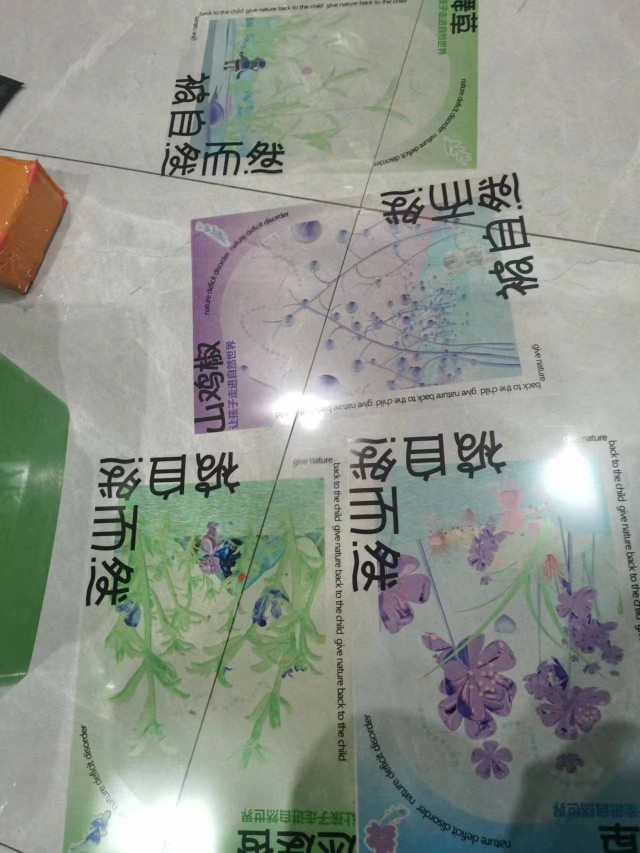 Transparent Film Customized PVC Projection Printing Plastic Fillin PET Photo Color Laser Inkjet Light Painting Projection-Taobao