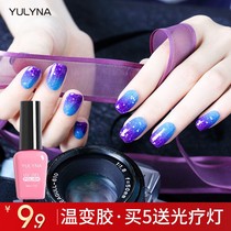 Phototherapy nail polish 2019 new girl popular color long-lasting fast-drying cat eye gum nail shop special suit