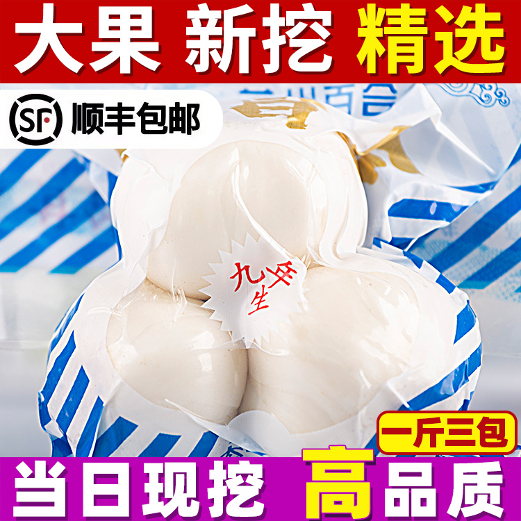 Lanzhou lily special grade fresh lily new dig of three-headed real edible sweet lily Gansu special-born non-dry 500g-Taobao