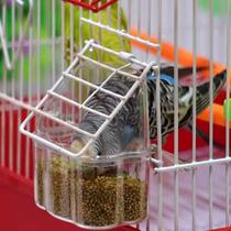 New Yellow Valley Sub with shell millet tiger leather peony root small and medium-sized parrot Wenbird bird bird food and bird feed