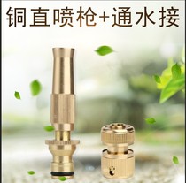 High-pressure household car wash water gun copper direct nozzle watering flowers 4 minutes 6 minutes cleaning soft water pipe strong pressurized car wash