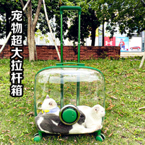 Cat outsourced the rod box cabin pet portable backpack in summer super large 30 pounds of cat suitcase