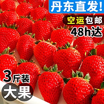 【现摘】正宗丹东牛奶草莓1000g[15元优惠券]-寻折猪