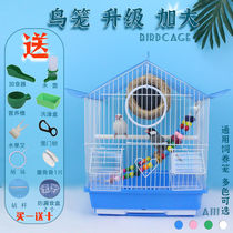 Bird cage parrot cage A111 pet supplies starling cage Xuanfeng peony tiger skin pearl bird cage munia