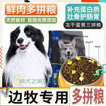 Border grazing general dog freeze dry grain pets full price freshly freshly low salt dogs to tear trace easily absorb high protein