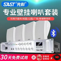 Senko wall-mounted sound box store special power amplifier suit store head hanging wall style indoor commercial suction top background music wireless Bluetooth wall-mounted horn restaurant supermarket public broadcasting