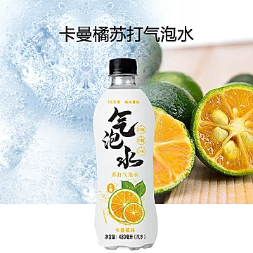 【旗舰店】元气萌主无糖气泡水480ml*4瓶[16元优惠券]-寻折猪