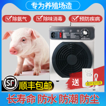 Ozone disinfector deozone deodorizing ammonia ozone generator in pig farm farm