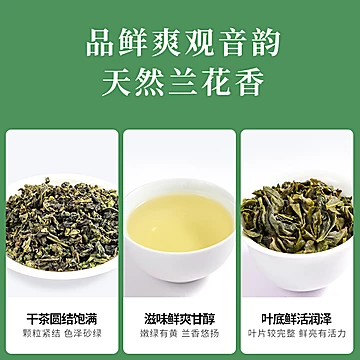 安溪铁观音清香型茶叶礼盒铁罐装450g[20元优惠券]-寻折猪