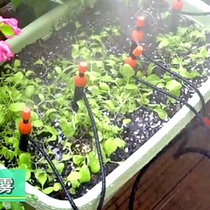 Automatic watering device watering intelligent timing full waterproof vegetable garden floral greenhouse Balcony Home Watering the Irrigation God