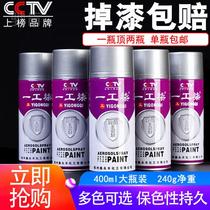 Chiken hand-shaking auto paint car varnishing motormetal furniture modified graffiti paint black and white paint self-spray