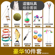 Cat Toy Teasing Cat With Cat Laser Pen Cat Item Ring Mint Fish Tumbler Mouse Kitty Toys