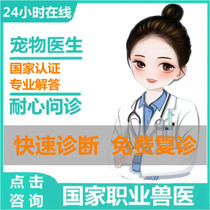 Pet doctor consultation 24-hour veterinary consultation pet hospital online pet consultation cat and dog doctor consultation