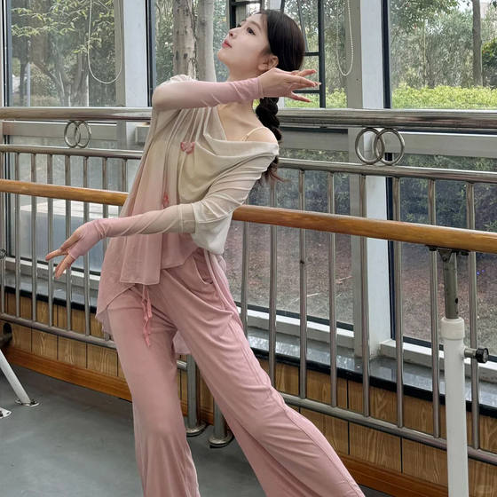 클래식 댄스 의상, 바디 리듬, 나비 거즈 드레스, 공연복, 중국 댄스, 흐르는 느슨한 훈련 의류 탑 클래식 댄스 의상, 바디 리듬, 나비 거즈 드레스, 공연복, 중국 댄스, 흐르는 느슨한 훈련 의류 탑