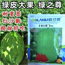 75 grams of original Outland Green Watermelon green-skinned green-skinned large-fruited red-sandy flesh resistant to repeated cropping.