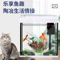 2022 net red fish tank living room home sloth free of change water table glass small and medium size scenery aquarium eco-creation