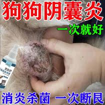 Special medicine for dog scrotitis