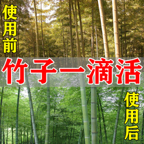 Bamboo survival nutrient liquid dead bamboo resurrection agent quick rooting liquid improves rotten roots yellow leaves yellow bamboo general-purpose fertilizer