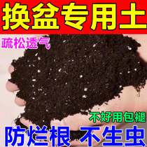 Flower-growing special potting nutrition soil orchid Clivia succulent general-purpose granular soil anti-worm not rotten root planting soil