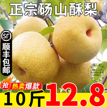 Now picking authentic Dangshan pear 10 catties big fruit crispy sweet Dangshan crisp pear seasonal fruit fresh pear 5 whole box