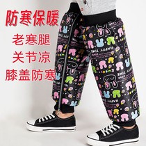 Electric Car Wind Shield Kneecap Children Windproof Cold-Proof Legs Warm Electric Bottle Car Backseat Winter Thickened Wind Shield Legs