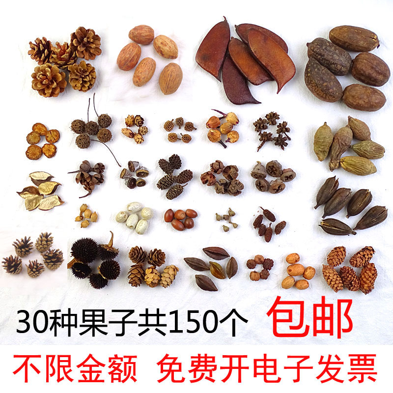 diy pine fruit wood piece leaves dry flower dried fruit combination suit kindergarten decoration small swinging pieces retro photo props-Taobao