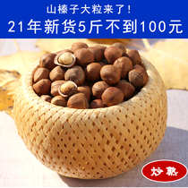 Wood Nai Shell Food 21 years northeast specialty Tieling big grain Mountain Hazelnut new wild hazelnut 500g