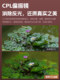 Kase/KA 컬러 공식 플래그십 Fengguang Three Musketeers CPL 편광 거울 ND Light Reduction Mirror GND Gradient Grey Mirror Canon Sony Fujiki Nikon Sigma Tamron 카메라 렌즈 필터 Kase/KA 컬러 공식 플래그십 Fengguang Three Musketeers CPL 편광 거울 ND Light Reduction Mirror GND Gradient Grey Mirror Canon Sony Fujiki Nikon Sigma Tamron 카메라 렌즈 필터