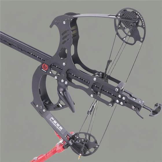 Slingshot fish special glasses slingshot 2025 new stainless steel 50 adult flamingo composite bow high precision
Slingshot fish special glasses slingshot 2025 new stainless steel 50 adult flamingo composite bow high precision