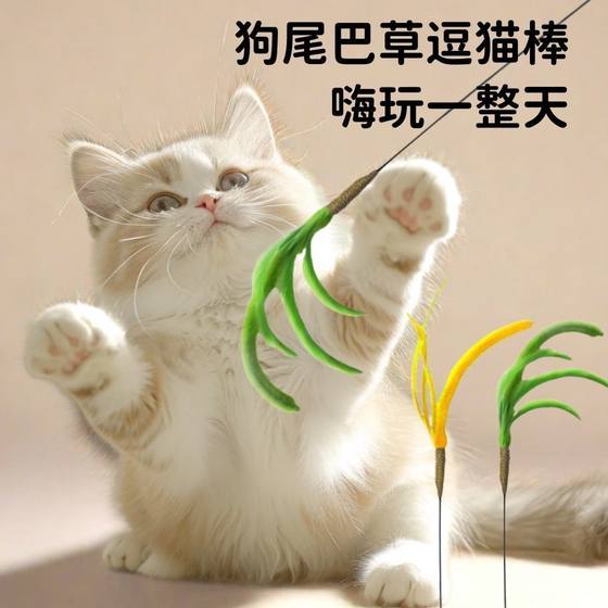 Cat teasing cat stick dog tail grass handheld interactive toy Devin cat mutton consumes physical strength long pole to relieve boredom
Cat teasing cat stick dog tail grass handheld interactive toy Devin cat mutton consumes physical strength long pole to relieve boredom